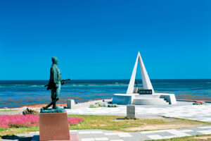 009-01_s 009-01_s